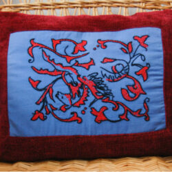 Coussin velours et broderie